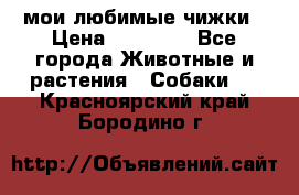 мои любимые чижки › Цена ­ 15 000 - Все города Животные и растения » Собаки   . Красноярский край,Бородино г.